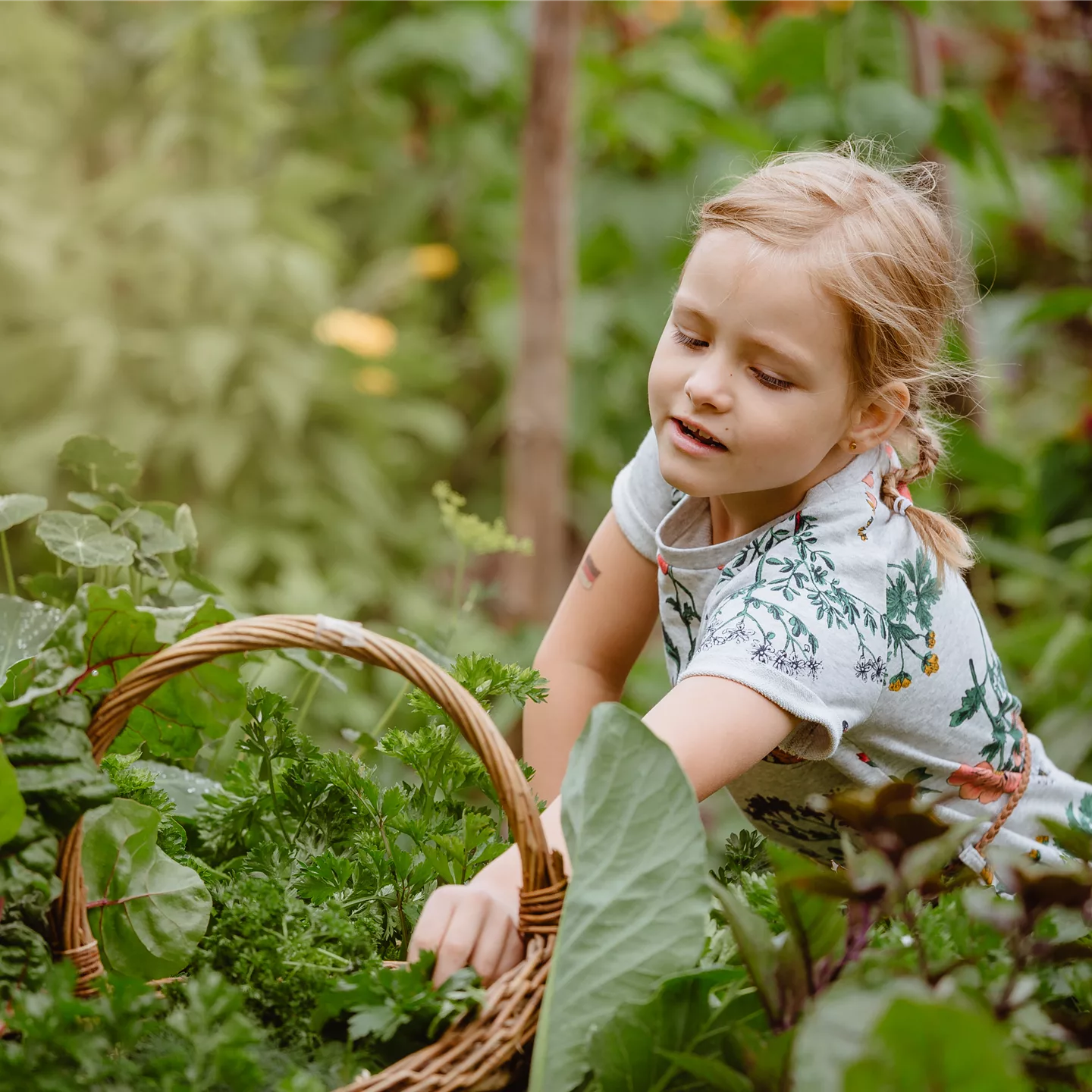 Jetzt kann geerntet werden! Kinder spielerisch einbeziehen