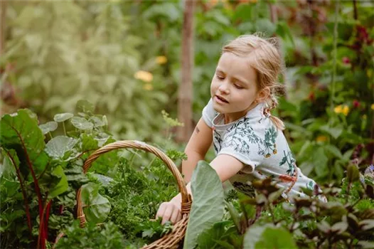 Jetzt kann geerntet werden! Kinder spielerisch einbeziehen