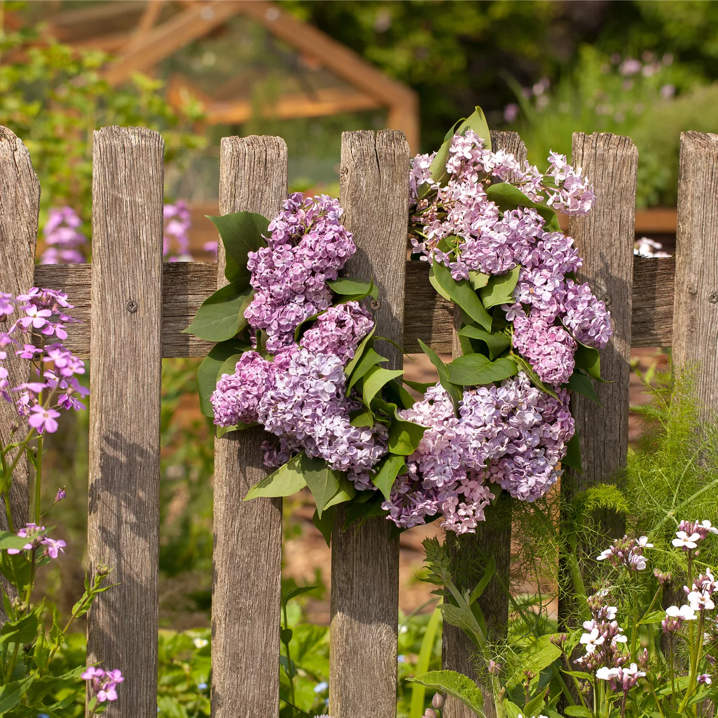 Gartenzäune und Co