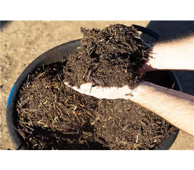 Kübel KunzTop Stauden-Abdeckmulch