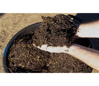 Kübel KunzTop Stauden-Abdeckmulch