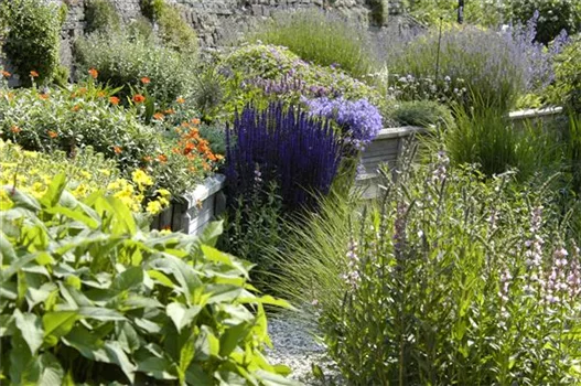 Das Staudenbeet – ein Blütenmeer im Garten