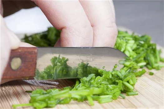 Kochen mit Kräutern aus dem Garten